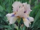 DSCN1877