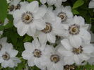 DSCN1866