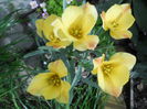 DSCN1807