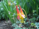 DSCN1797