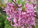 DSCN1785