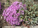 DSCN1468