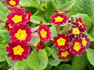 DSCN1452