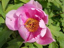 DSCN1417