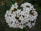 DSCN1206