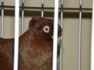 DSCF0065