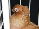 DSCF0067