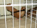 DSCF0071