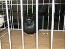 DSCF0072