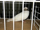 DSCF0073