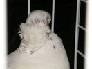 DSCF0075