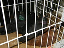 DSCF0077