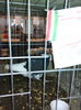 IMG_20141207_104351