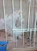IMG_20141207_130830