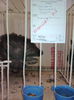 IMG_20141207_130904