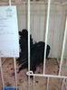IMG_20141207_130920
