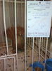 IMG_20141207_130959