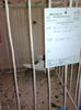 IMG_20141207_131332