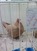 IMG_20141207_131841