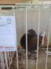 IMG_20141207_131940