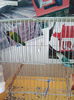 IMG_20141207_132153