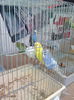 IMG_20141207_132204