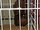 DSCF0085