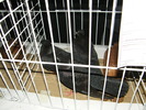 DSCF0086