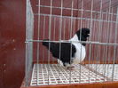 SAM_0331