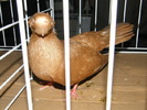 DSCF0096