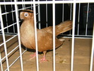 DSCF0098
