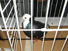 DSCF0101