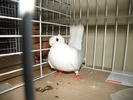 DSCF0105