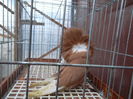 SAM_0365
