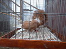 SAM_0370