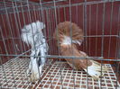 SAM_0380