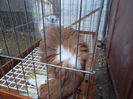 SAM_0387