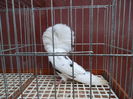 SAM_0396