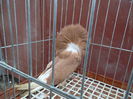 SAM_0402