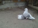 Imag 012213