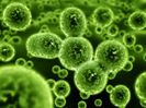 Bacterii rezistente la antibiotice