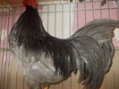 DSCN1107