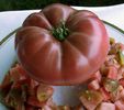 Tomate Cherokee-Purple.