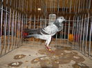DSCN8451
