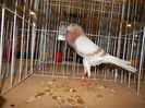 DSCN8453
