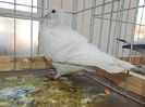 DSCN8515