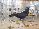 DSCN8553