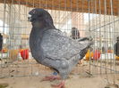 DSCN8592