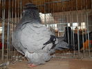 DSCN8630