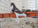 DSCN8632